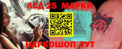 стаф Тара