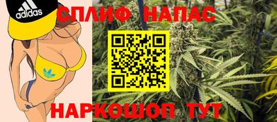 индика Тверь