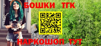 МДПВ Татарск