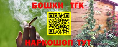 МДПВ Татарск