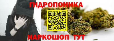 стаф Тара