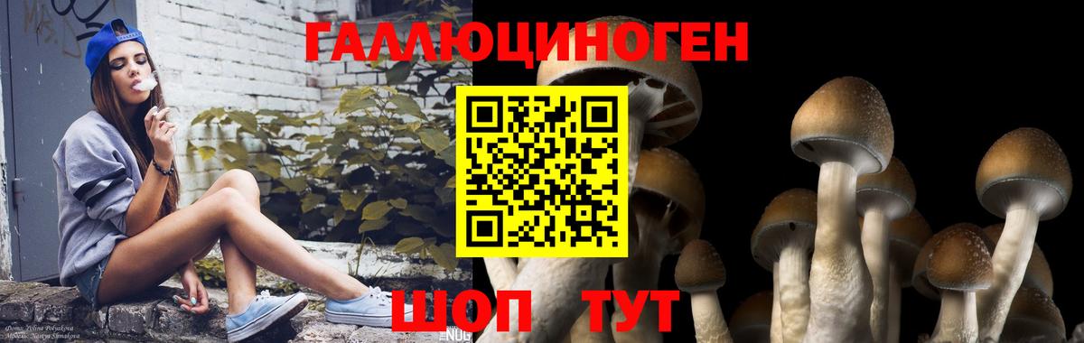 Галлюциногенные грибы Magic Shrooms  Вход с VPN  Псилоцибиновые грибы ЛСД  Нижнекамск 